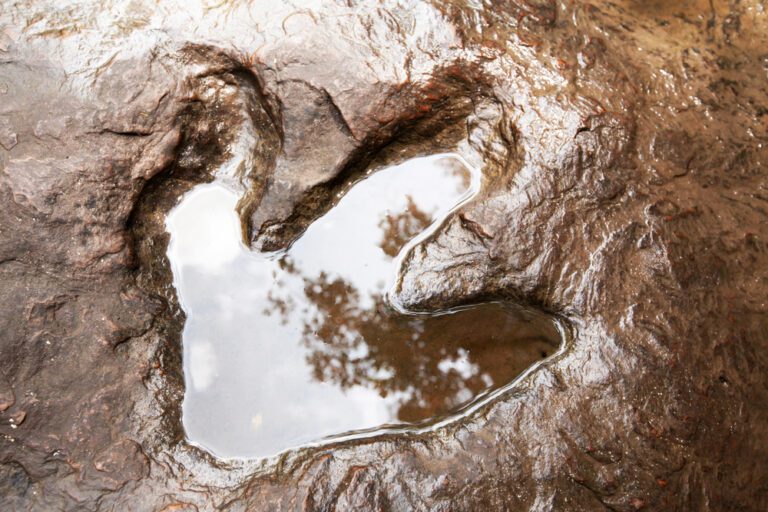 Ancient Rock Art and Dinosaur Footprints Found Side By Side In Brazil