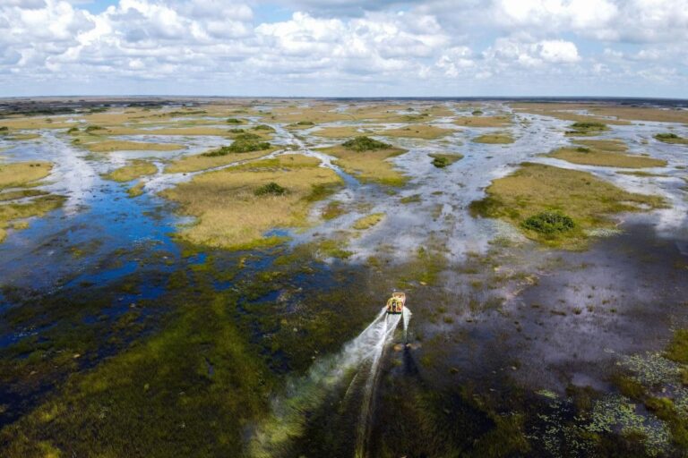 Florida airboat flips sending 9 passengers into gator-infested waters, operator arrested