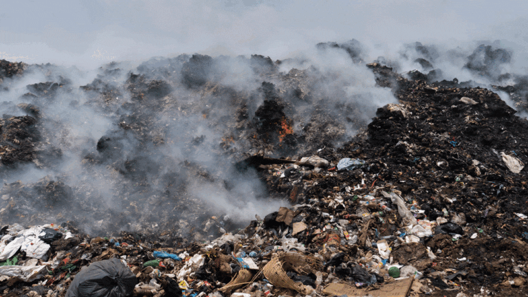 Guatemala’s president issues natural disaster declaration as 44 forest fires rage on