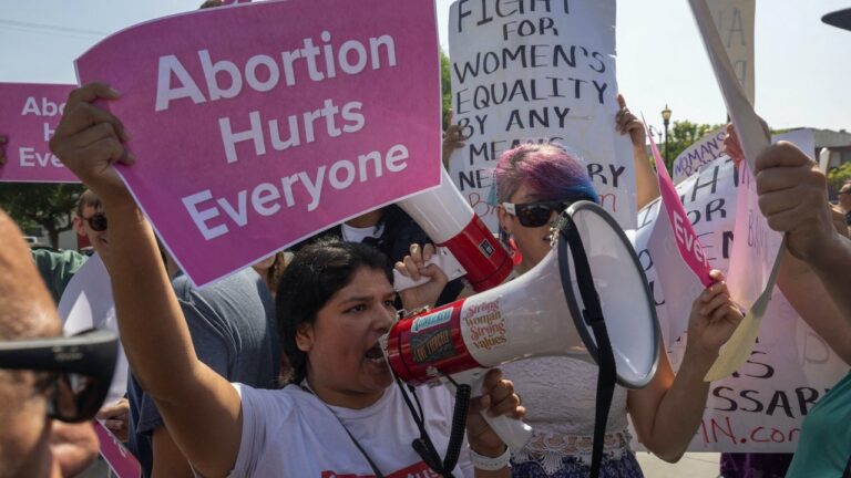 Pro-life advocates sound alarm on ‘extreme’ Florida abortion vote that Dems hope could swing general election