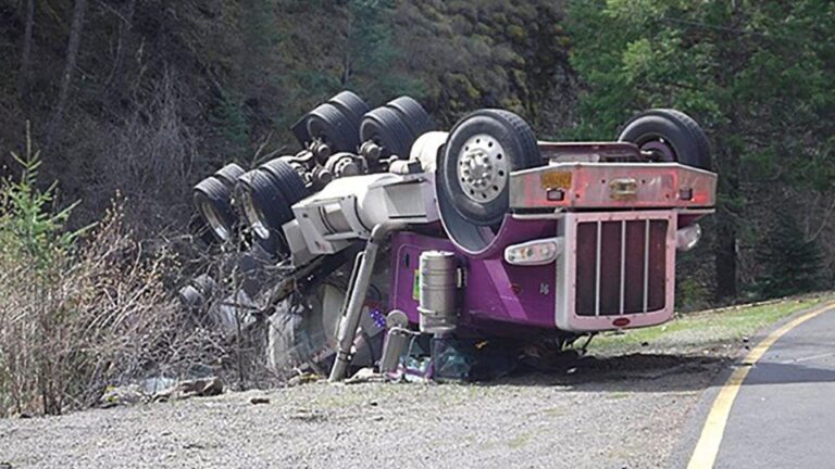 Tens of thousands of live salmon fell off a truck in Oregon – and into a creek