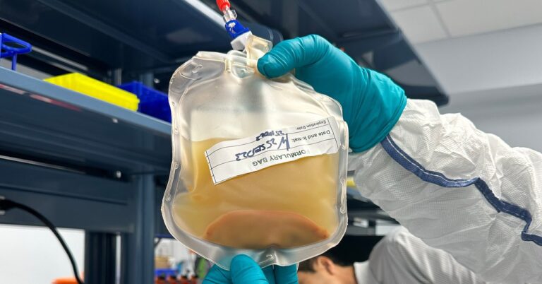 This Bag of Cells Could Grow New Livers Inside of People